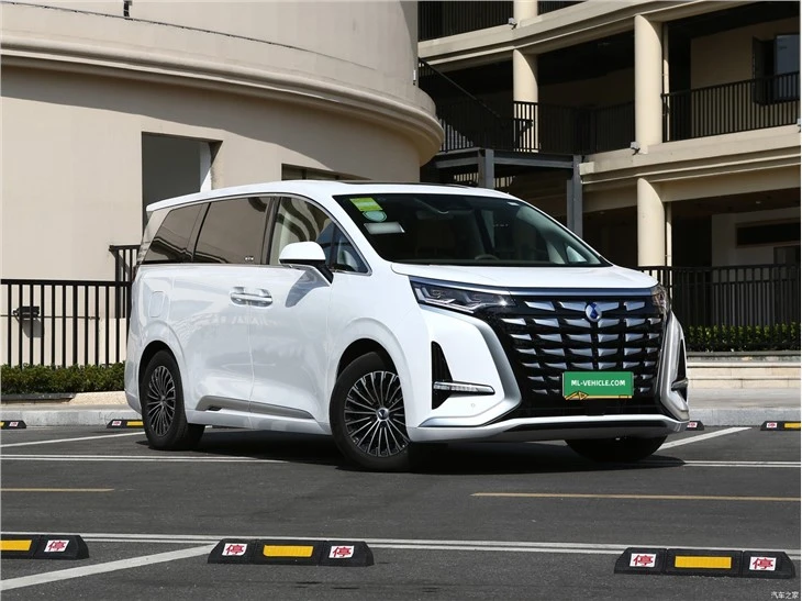 2023 BYD Denza D9 TengShi D9