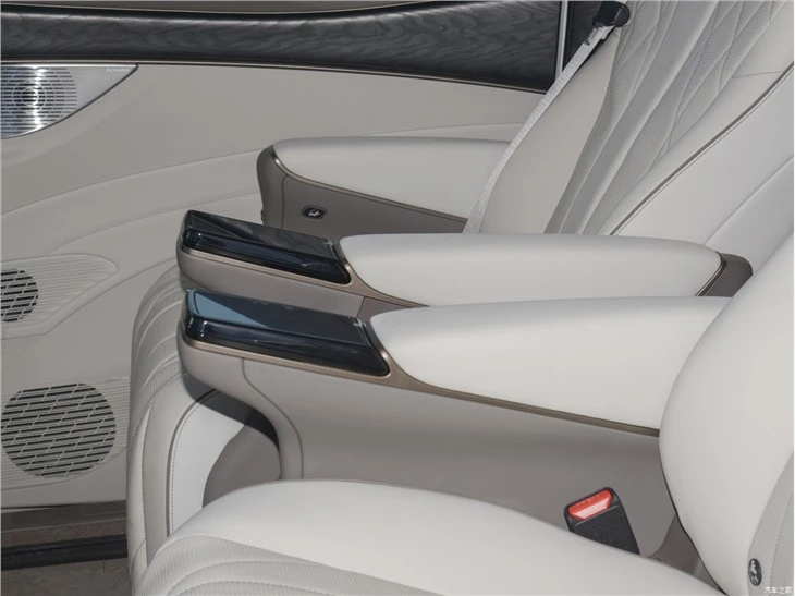 2023 BYD Denza D9 TengShi D9