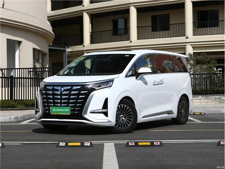 2023 BYD Denza D9 TengShi D9