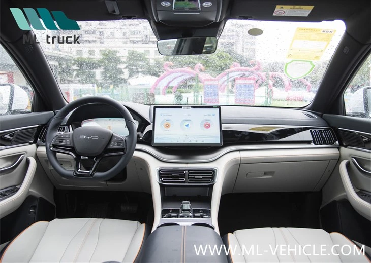 BYD SONG PLUS Champion Edition DMI