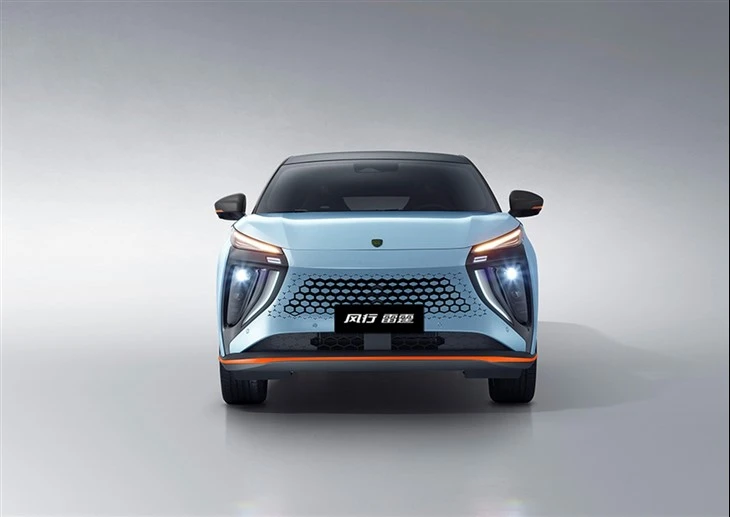 DongFeng Forthing