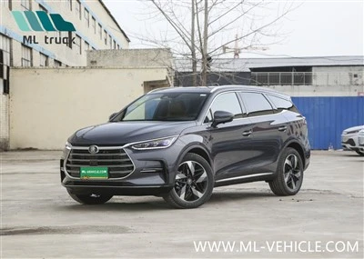 BYD Tang Champion Edition DMI