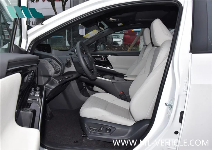 2024 GAC Toyota Bozhi 4X SUV EV