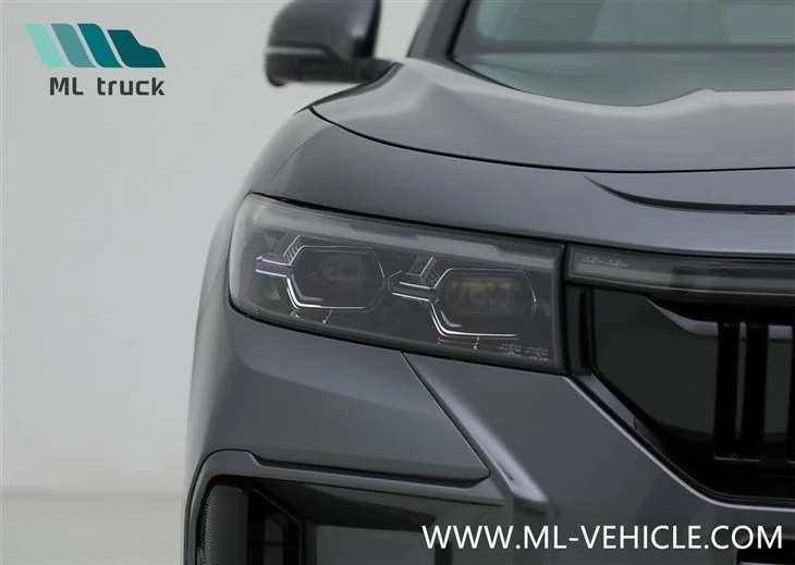2025 New VOYAH Free 318 PHEV SUV