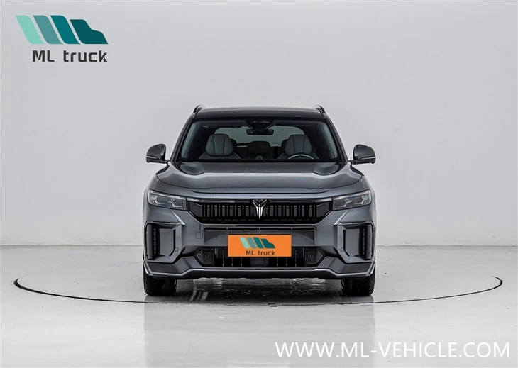 2025 New VOYAH Free 318 PHEV SUV
